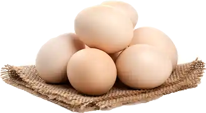 img-egg-mishkat